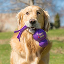 KONG - Wubba - Dog Tug of War and Fetch Toy (Assorted Colours) - for Large Dogs