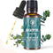 Rythparfum Eucalyptus Essential Oil with Scaled Dropper * 1oz