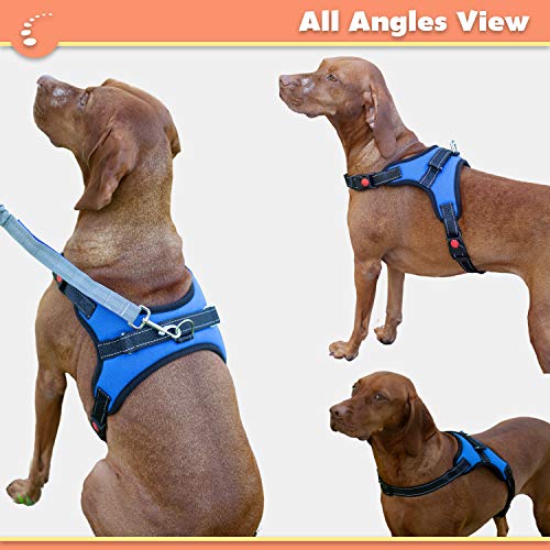 Zenify Pets Dog Harness - Chest Control Grab Adjustable Reflective for Large Dogs (Blue, Large)…