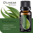 Eucalyptus Essential Oil - Aromatherapy Natural & Pure Eucalyptus Oil 10ml - Perfect for Diffuser, Aromatherapy, Mental Support, Muscle relaxation - High European Quality Oil