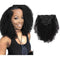 Sassina Real Remy Afro Coily Clip In Human Hair Extensions unprocessed 4B 4C Afro Kinky Curly Clip ins For African Americans Black Women 120 Grams 7 Pieces With 17 Clips 4AC 16 Inch