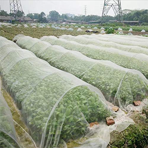 Garden Vegetable Protection Netting, Fine Mesh Insect Protection Net for Garden, Greenhouse, Plants, Fruit, Flowers, Crops, Pesticide Repellent (3 * 4m)