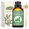 Peppermint Essential Oil 100% Pure and Natural Organic Peppermint Essential Oil for Diffuser & Aromatherapy 100ML/3.38 oz