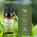 Tea Tree Essential Oil, 100% Pure Organic Aromatherapy Gift Oils for Diffuser, Humidifier, Soap, Candle, Perfume