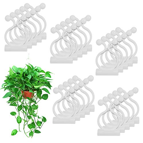 100Pcs Plant Climbing Wall Fixture Clips Invisible Wall Vines Fixture Wall Sticky Hook Self-Adhesive Hook Leaf Shaped Climbing Plant Clips for Vines Traction Cables Storage(20mm)