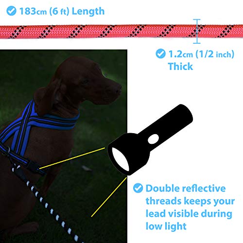Zenify Pets Dog Lead - Durable Strong Chew Resistant Slip Lead Nylon Rope Padded Handle Mountain Climbing Harness Pet Puppy Training Slipknot Leash for Walking [1.2cm Thick 183cm Long] (Pink 6ft)…