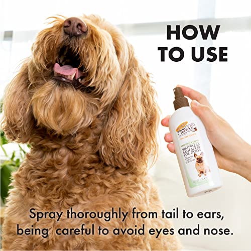 Palmer's for Pets Coconut Oil Formula Strength & Shine Waterless Bath Spray for Dogs, Coconut No Rinse Waterless Dry Dog Spray for Instant Refresh Without a Bath, Bath Spray for Dogs - 8 oz (FF15583)
