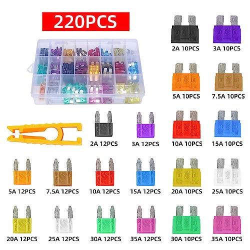 Ausale 220pcs Car Fuses, Assorted Standard Car Auto Fuses Set ATC/APR/ATO+ATM, Mini Blade Fuses Set for Cars,Trucks, Automotives