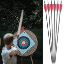 ZSHJGJR 31 Inch Archery Carbon Arrows Spine 500 Hunting Arrows with Removable Tips 4" Natural Feather Fletching Targeting Arrows for Compound & Recurve & Traditional Bow 6/12pcs (12pcs)