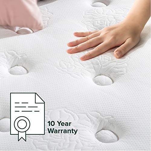 Zinus Comfort Support Plus iCoil Pocket Springs King Mattress Euro top Bed - Medium Plush Feel Bed - High Density Foam Layer - Mattress in a Box