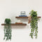 Artigreen 3 Pcs Artificial Hanging Plants-Eucalyptus Mandala Snow Pea Vine in Pot Plants for Office Farmhouse, Fake Foliage Pendant Plant, Indoor Outdoor Wedding Home Decoration
