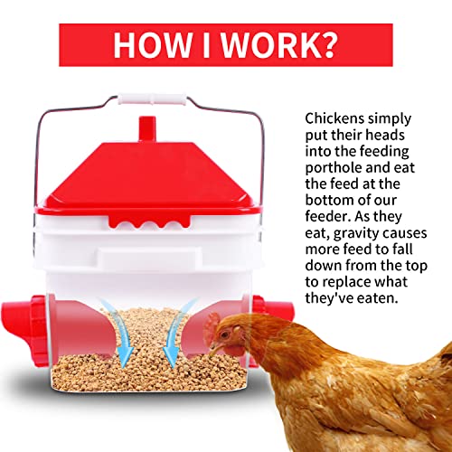 10 Pounds Chicken Feeder and 2 Gallon Chicken Waterer ，High-Capacity Hanging Chicken Feeder and Waterer Set for up to 15 Chicks/10 Adult Chickens（Red）