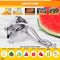 Handheld Citrus Juice Extractor Juicer - LEGLO Orange Juice Squeezer Cold Press Juicer Handheld Lemon Lime Squeezer - Lemon Squeezer Manual Orange Juicer Press Hand Juicer citrus Squeezer Hand Press