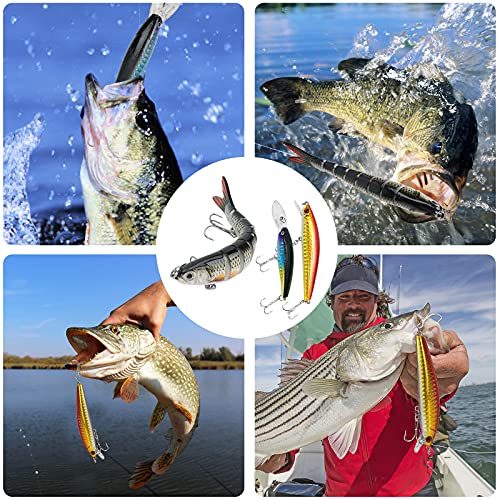 Fishing Lures Tackle Box Bass Fishing Kit Including Animated  Lure,Crankbaits,Spinnerbaits,Soft Plastic Worms, Jigs,Topwater  Lures,Hooks,Saltwater & Freshwater Fishing Gear Kit for Bass,Trout, Salmon.