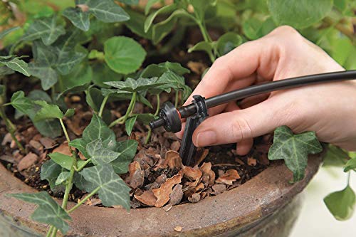 Raindrip R560DP Automatic Watering Kit for Container and Hanging Baskets, Water up to 20 plants with this kit