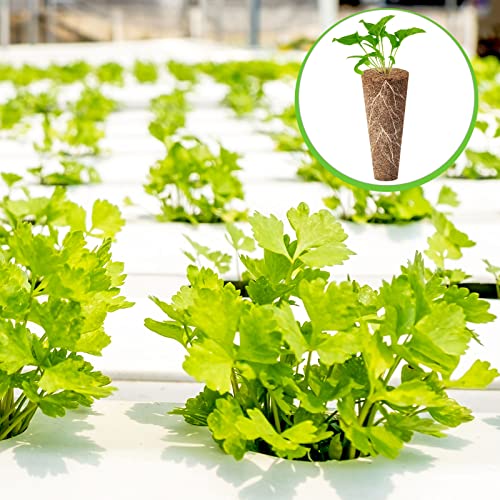 200 Packs Hydroponics Grow Sponges Replacement Growth Sponges Root Plugs Pods Kit for Indoor Hydroponic Garden Patio Lawn Plant Growth System Seed Starting Accessories