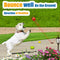 HOLYSTEED Latex Dog Squeaky Toys Rubber Soft Dog Toys Chewing Squeaky Toy Fetch Play Balls Toy for Puppy Small Pets Dog 6pcs
