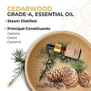 CORE & PURE Cedarwood Grade-A, Essential Oil- Best for Healthy Hair, Youthful Skin |Ayurvedic, Organic, Natural|- 12ml