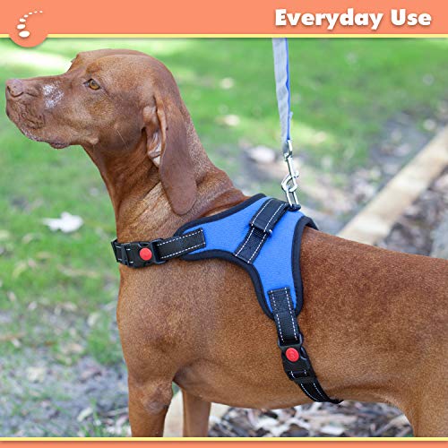 Zenify Pets Dog Harness - Chest Control Grab Adjustable Reflective for Large Dogs (Blue, Large)…