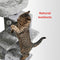 Floofi 170cm Cat Tree, Cat Tower, Cat Scratching Post, Cat Tree for Indoor Cats, Cat Condo, Cat Furniture, Cat Trees, Cat Post, Large Cat Tree, Cat Tree Tower, Cat Tower Large Cats (Grey)
