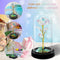 Glass Preserved Eternal Rose, Birthday Gifts for Her Women Gold Foil Artificial Rose with DIY Led Light, Beauty and The Beast Dome, Mother's Day Valentine's Mom Gift from Daughter, TOJUNE (Colorful)