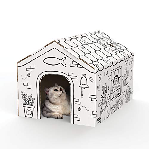 Bankers Box at Play Color in Cat House