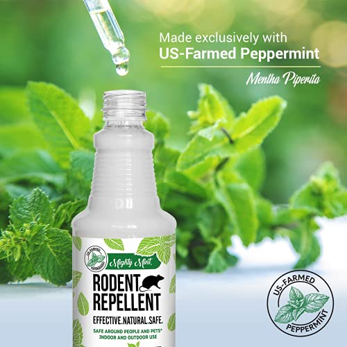 Mighty Mint 16oz Peppermint Oil Rodent Repellent Spray