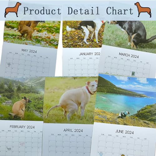 ZKAYX Wall Calendar 2024, Dogs Pooping In Beautiful Places 2024 Calendars January from December for Dog Lovers, Monthly Calendar Planner for Home, Hostel