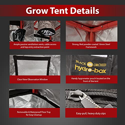 BLACK ORCHID Grow Tent Kit Complete 100W UFO LED Grow Light 60x60x160 cm Full Spectrum Indoor Grow Tent Kit Hydroponics Grow Tent Setup Kit Grow House