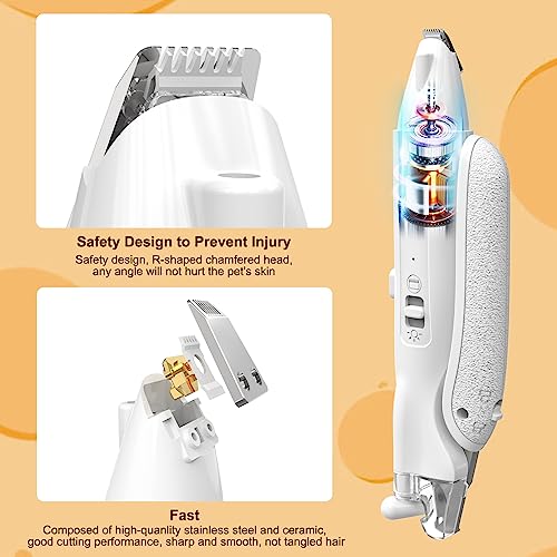 Beedove 2 In 1 Pet Nail Clippers and Trimmers with LED Lights & Nail Storage Box, USB Rechargeable Low Noise, Dog Cat Nail Clippers with Safety Lock for Small Medium Large Dogs Cats Pets