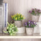 Artigreen Mini Artificial Plants Potted 6 Pcs,Fake Potted Green Flower, Suitable for Office Desk Coffee Table Bathroom Bedroom Home Decorations