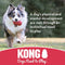 KONG - Puppy Flyer - Teething Rubber, Flying Disc Dog Toy (Assorted Colours) - for Small Puppies