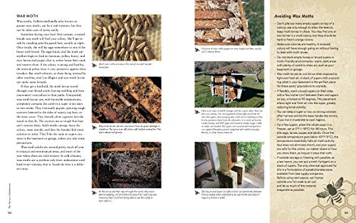 Backyard Beekeeper: An Absolute Beginner's Guide to Keeping Bees in Your Yard and Garden