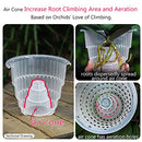 Meshpot Clear Plastic Orchid Pots With Holes - 3 Pack (2Pcs 7 Inch Pot,1Pc 6 Inch Pot)