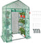 VEVOR Walk-in Green House, 55.5 x 29.3 x 80.7 inch, Portable Greenhouse with Shelves, High Strength PE Cover with Roll-up Zipper Door and Steel Frame, Set Up in Minutes, for Planting and Storage