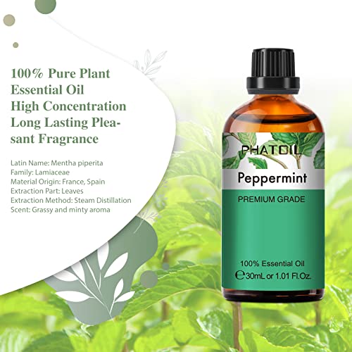 PHATOIL Peppermint Essential Oil 30ML, Essential Oils for Diffuser, Humidifier, Aromatherapy, DIY Candle and Scented Products Making (Peppermint, 30 ml)