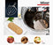 EuroChef 20L Planetary Food Mixer Commercial Stand Vertical Food Dough Mixer Machine, Floor Model