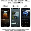 WiiM Mini AirPlay2 Wireless Audio Streamer, Multiroom Stereo, Preamplifier, Compatible with Alexa and Siri Voice Assistants, Stream Hi-Res Audio from Spotify, Amazon Music and More