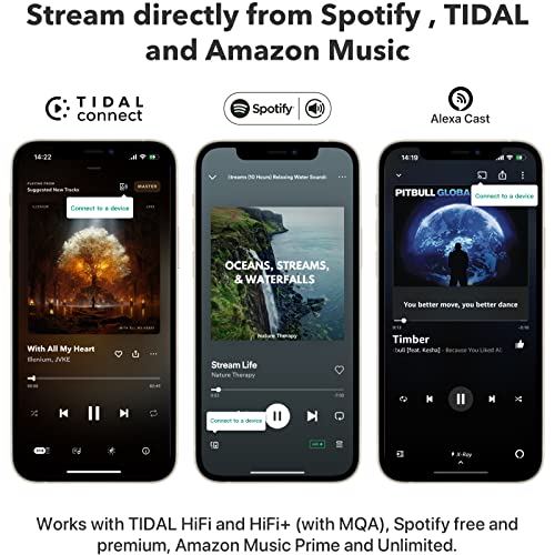 WiiM Mini AirPlay2 Wireless Audio Streamer, Multiroom Stereo, Preamplifier, Compatible with Alexa and Siri Voice Assistants, Stream Hi-Res Audio from Spotify, Amazon Music and More