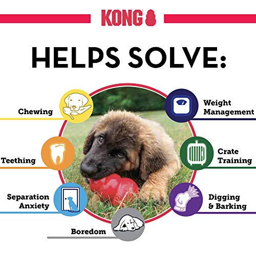 KONG - Classic Dog Toy - Durable Natural Rubber - Fun to Chew, Chase and Fetch - for Large Dogs