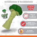 Nylabone Broccoli Dog Toy Power Chew – Cute Dog Toys for Aggressive Chewers – with a Funny Twist! Bacon & Cheese Flavor, Large/Giant (1 Count)