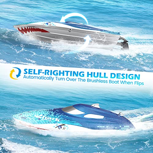 DEERC High Speed RC Boats W/LED Lights, Self Righting Remote Control Boat for Pools and Lakes, 20+ MPH, 2.4GHz Racing Boats, Remote Control Shark, Pool Toys for Kids & Adults