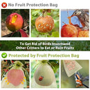 100 Pieces Organza Fruit Protection Bags,Fine Mesh Organza with Drawstring Reusable Garden Netting Bags for Protecting Fruit Tree,Plants,Vegetables