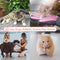 Zenify Cat Hair Remover Grooming Glove Mitt for Deshedding Fur from Cats, Kittens, Rabbits, Guinea Pigs (Light Pink - Right Handed)