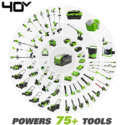 Greenworks 40V 12" Cordless Compact Chainsaw (Great for Storm Clean-Up, Pruning, and Camping), 2.0Ah Battery and Charger Included