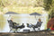 Sport-Brella Beach Chair with UPF 50+ Adjustable Umbrella