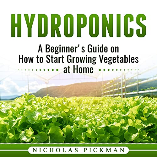 Hydroponics: A Beginner's Guide on How to Start Growing Vegetables at Home