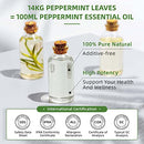 HIQILI Peppermint Essential Oil 1 Fl Oz, 100% Pure Undiluted Peppermint Oil for Spray, Diffuser, Soap, Shampoo, Roll On, Freshener - 30ml