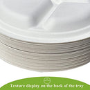 100% Compostable 10inch Heavy-Duty Plate for Happy Party Tableware, 3 Compartment Eco-Friendly Disposable White Bagasse Plate, 10" Paper Plate… (125 Pack)