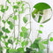 Plant Climbing Wall Fixture Clips Plant Fixer Self-Adhesive Hook Plant Vine Traction Invisible Wall Vines Fixture Wall Sticky Hook Vines Fixing Clip Vines Holder